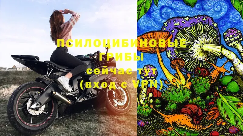 Галлюциногенные грибы Magic Shrooms  дарк нет состав  Пушкино 